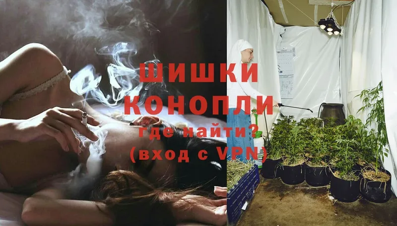 Бошки Шишки THC 21%  Верхотурье 